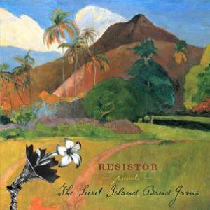 Resistor - The Secret Island Band Jams cover