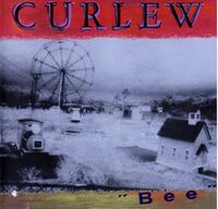 Curlew - Bee cover