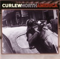 Curlew - North America cover
