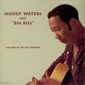 Waters, Muddy - Sings 