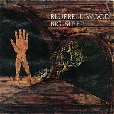 Big Sleep - Bluebell Wood cover