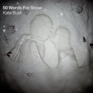 Bush, Kate - 50 Words For Snow cover