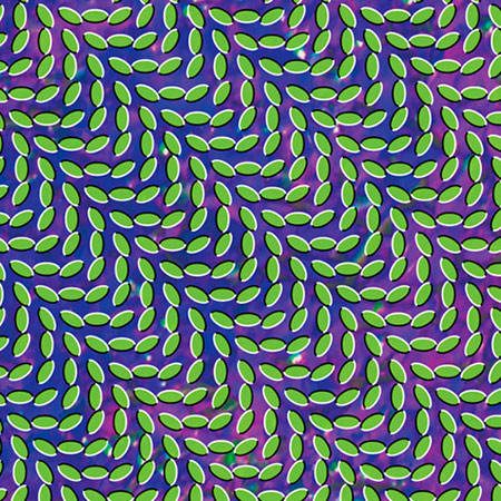 Animal Collective - Merriweather Post Pavillion cover