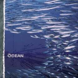 Ocean - Fluxion cover