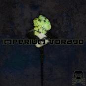 Chimp Spanner - Imperium Vorago cover