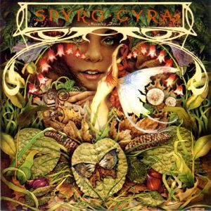 Spyro Gyra - Morning Dance cover