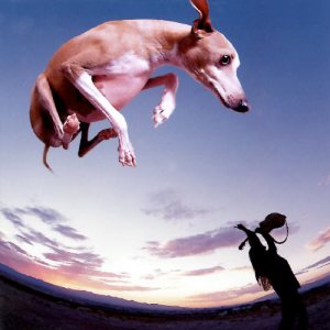 Gilbert, Paul - Flying Dog cover