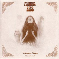 Flaming Bess - Finstere Sonne / Black Sun cover