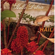 Hail - Hello Debris cover