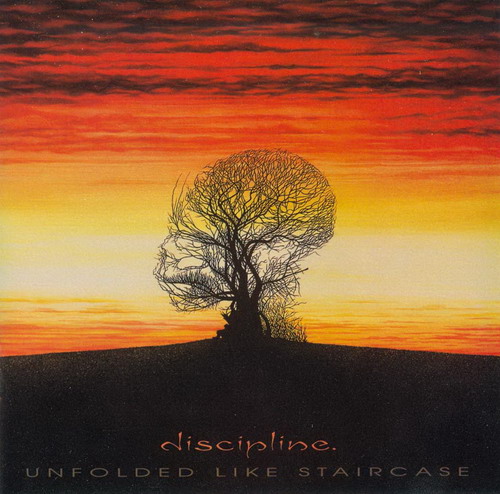 Discipline - Unfolded Like Staircase cover