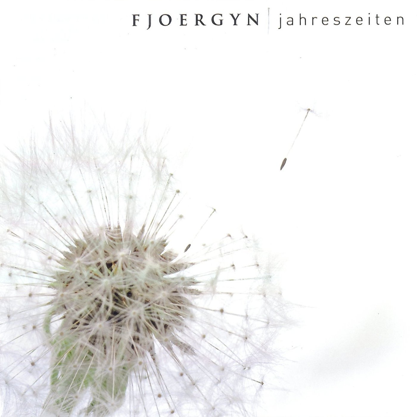 Fjoergyn - Jahreszeiten cover