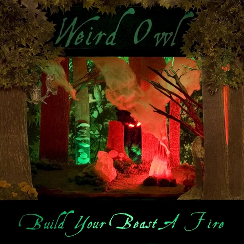 Weird Owl - Build Your Beast A Fire cover
