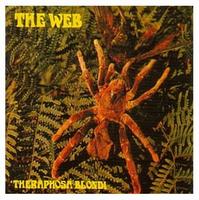 Web - Theraphosa blondi cover