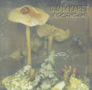 Djam Karet - Ascension  cover
