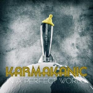 Karmakanic - In A Perfect World cover