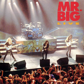 Mr. Big - Mr.Big Live cover