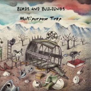 Birds and Buildings - Multipurpose Trap cover