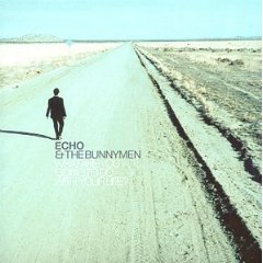 Echo & The Bunnymen - What Are You Going to Do with Your Life? cover