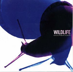 Phillips, Anthony - Wildlife cover