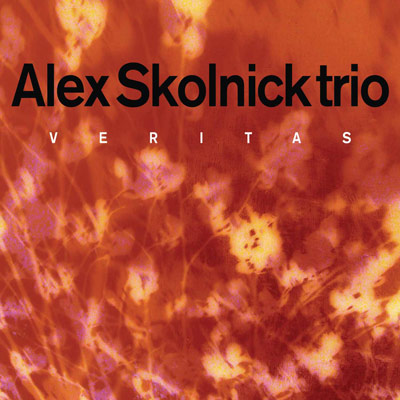 Alex Skolnick Trio - Veritas cover