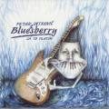 Bluesberry - Já to platím  cover