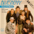 Bluesberry - Co je to blues  (Live 30 let)  cover