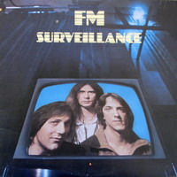 FM - Surveillance cover