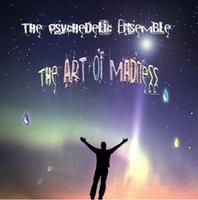 Psychedelic Ensemble, The - The Art Of Madness cover