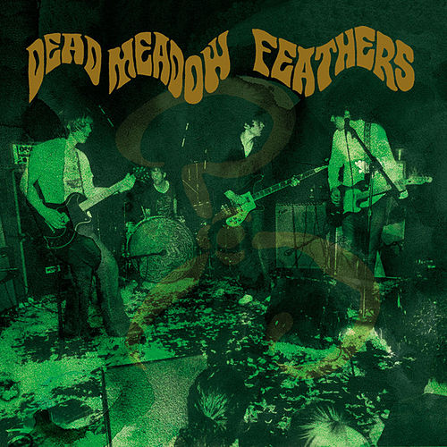 Dead Meadow - Feathers cover