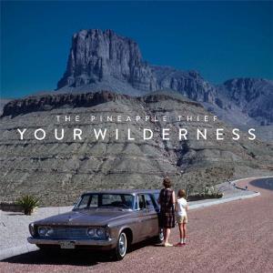 Pineapple Thief - Your Wilderness cover