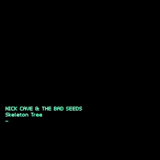 Nick Cave & The Bad Seeds - Skeleton Tree cover