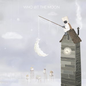 Micic, David Maxim - Who Bit The Moon cover