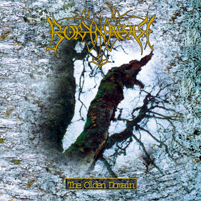 Borknagar - The Olden Domain cover