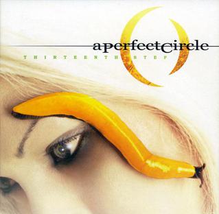 A Perfect Circle - Thirteenth Step cover