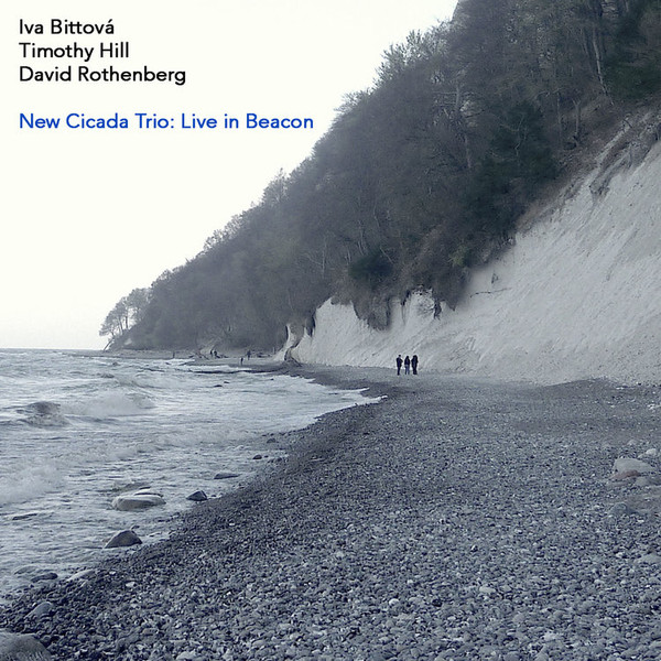 Bittová, Iva - New Cicada Trio: Live In Beacon  cover
