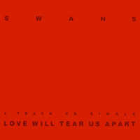Swans - Love Will Tear Us Apart cover
