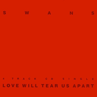 Swans - Love Will Tear Us Apart cover