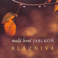 Jablkoň - malá lesní - Bláznivá cover