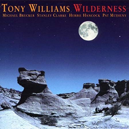 Williams, Tony - Wilderness cover