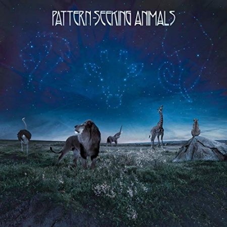 Pattern - Seeking Animals - Pattern - Seeking Animals cover