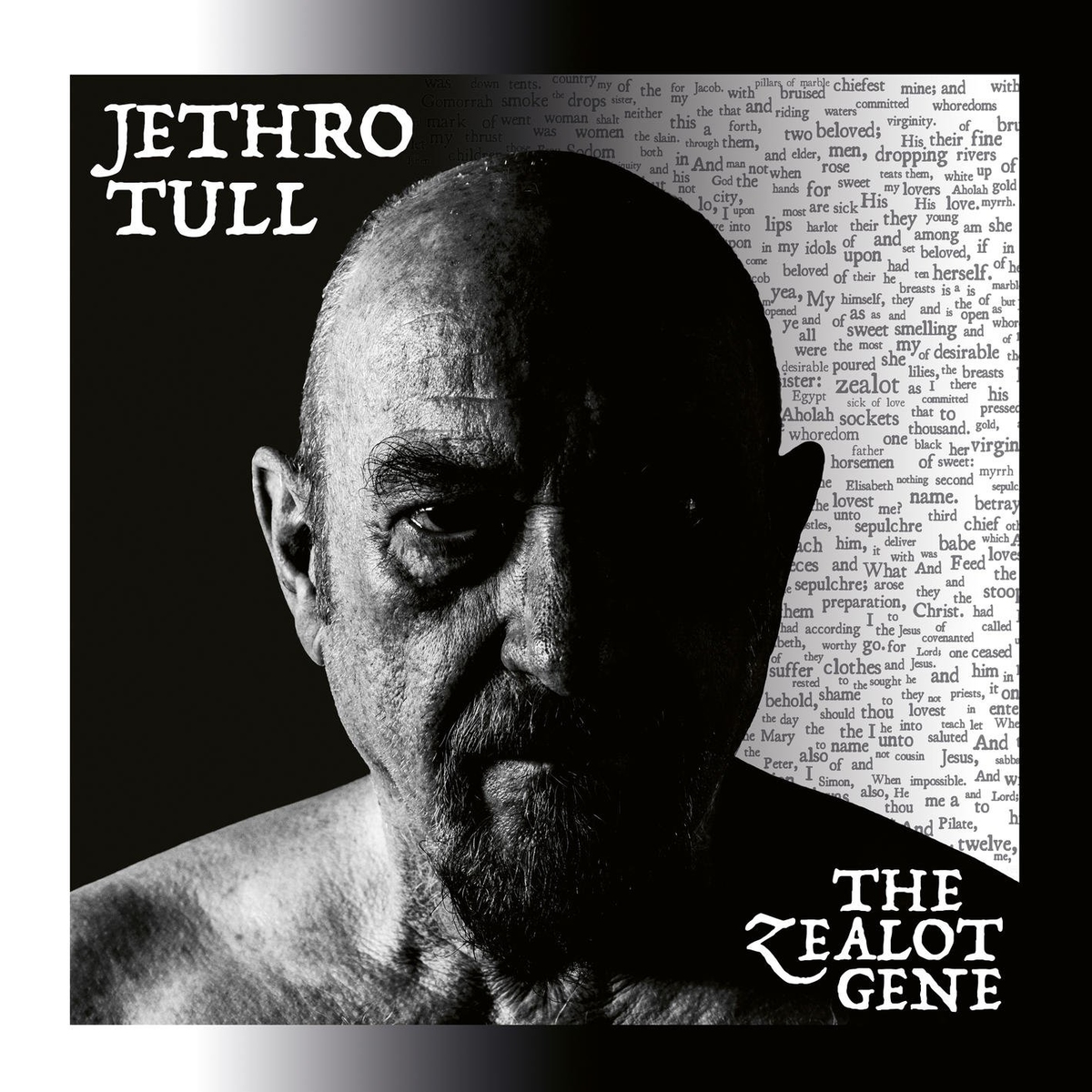 Jethro Tull - The Zealot Gene cover