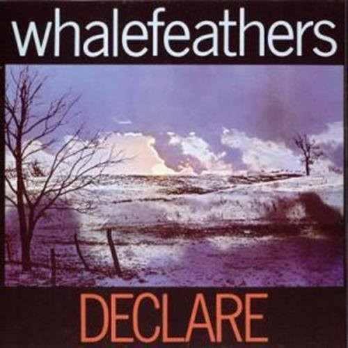 Whalefeathers - Declare cover