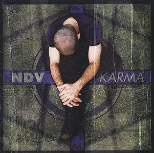 D'Virgilio, Nick - Karma cover