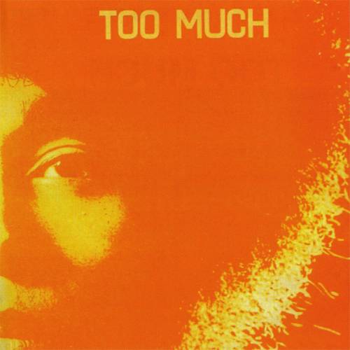 Too Much - Too Much cover