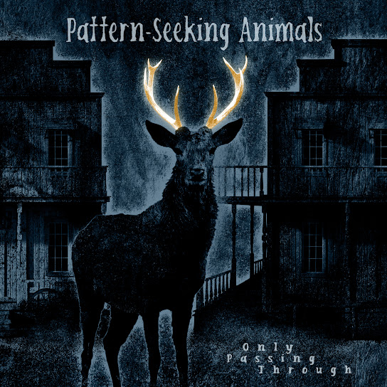 Pattern - Seeking Animals - Only Passing Through cover