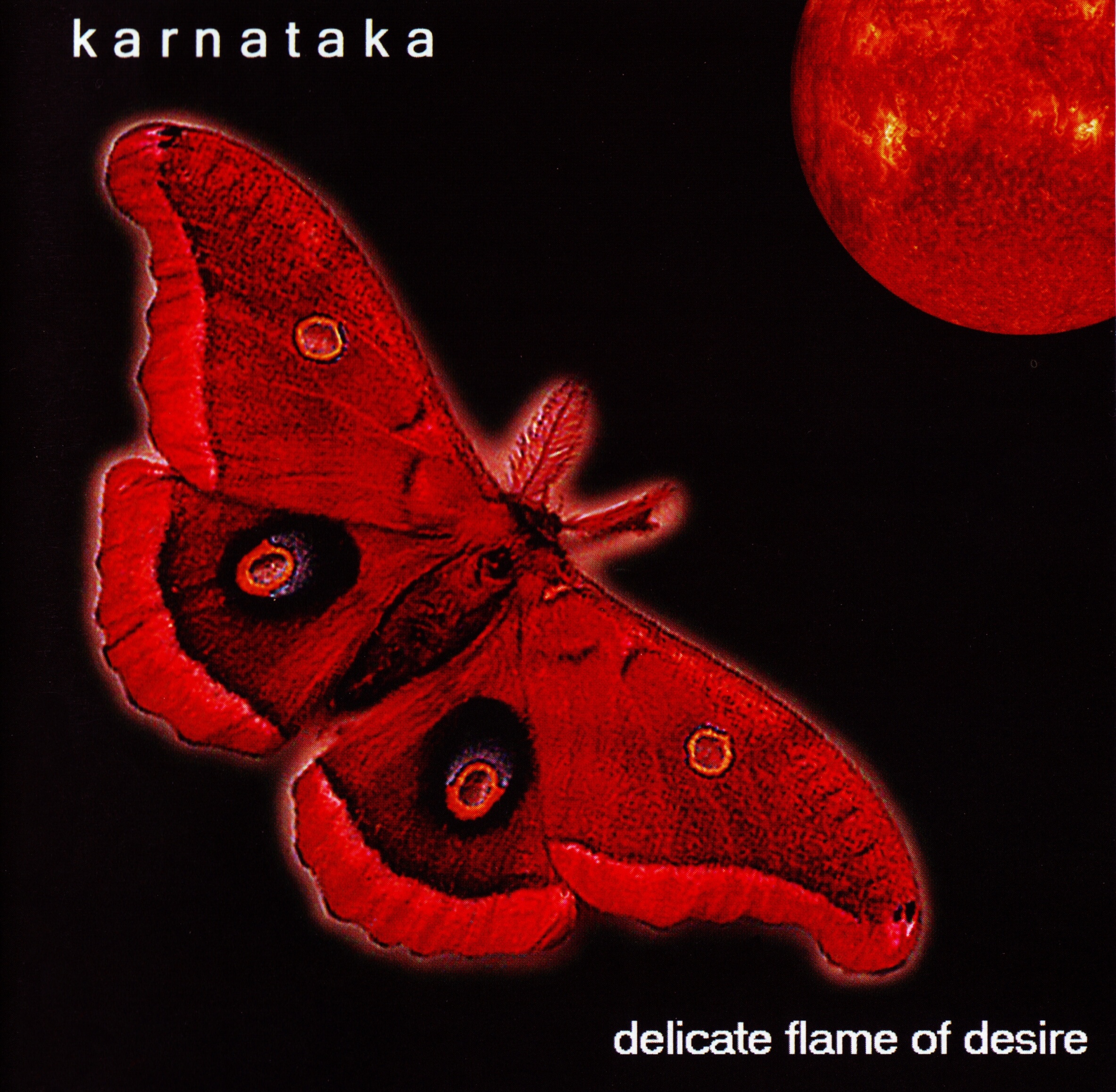 Karnataka - Delicate Flame of Desire cover