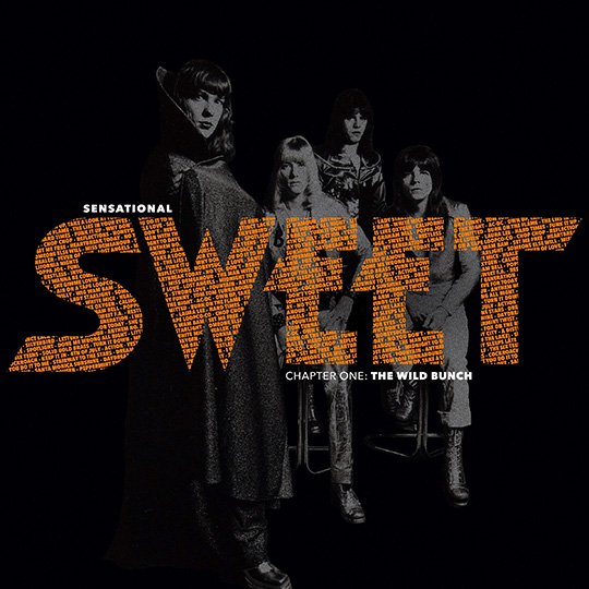 Sweet - Sensational Sweet Chapter One: The Wild Bunch cover