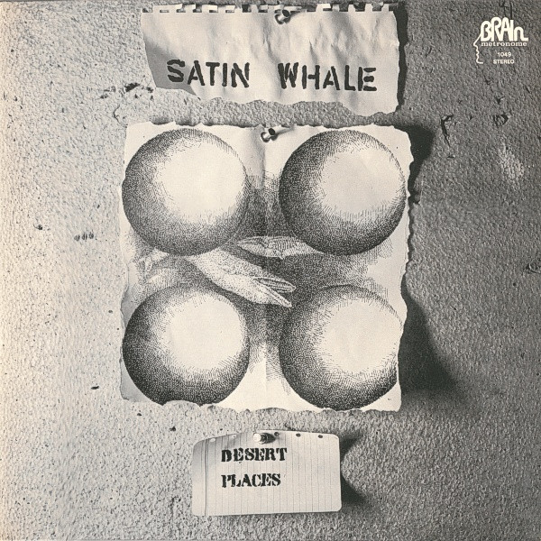 Satin Whale - Desert Places cover