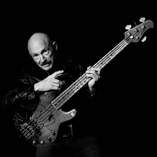 Levin, Tony - Bringing It Down to the Bass cover