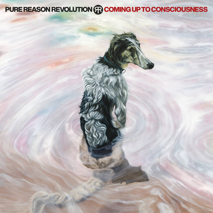 Pure Reason Revolution - Coming Up To Consciousness cover